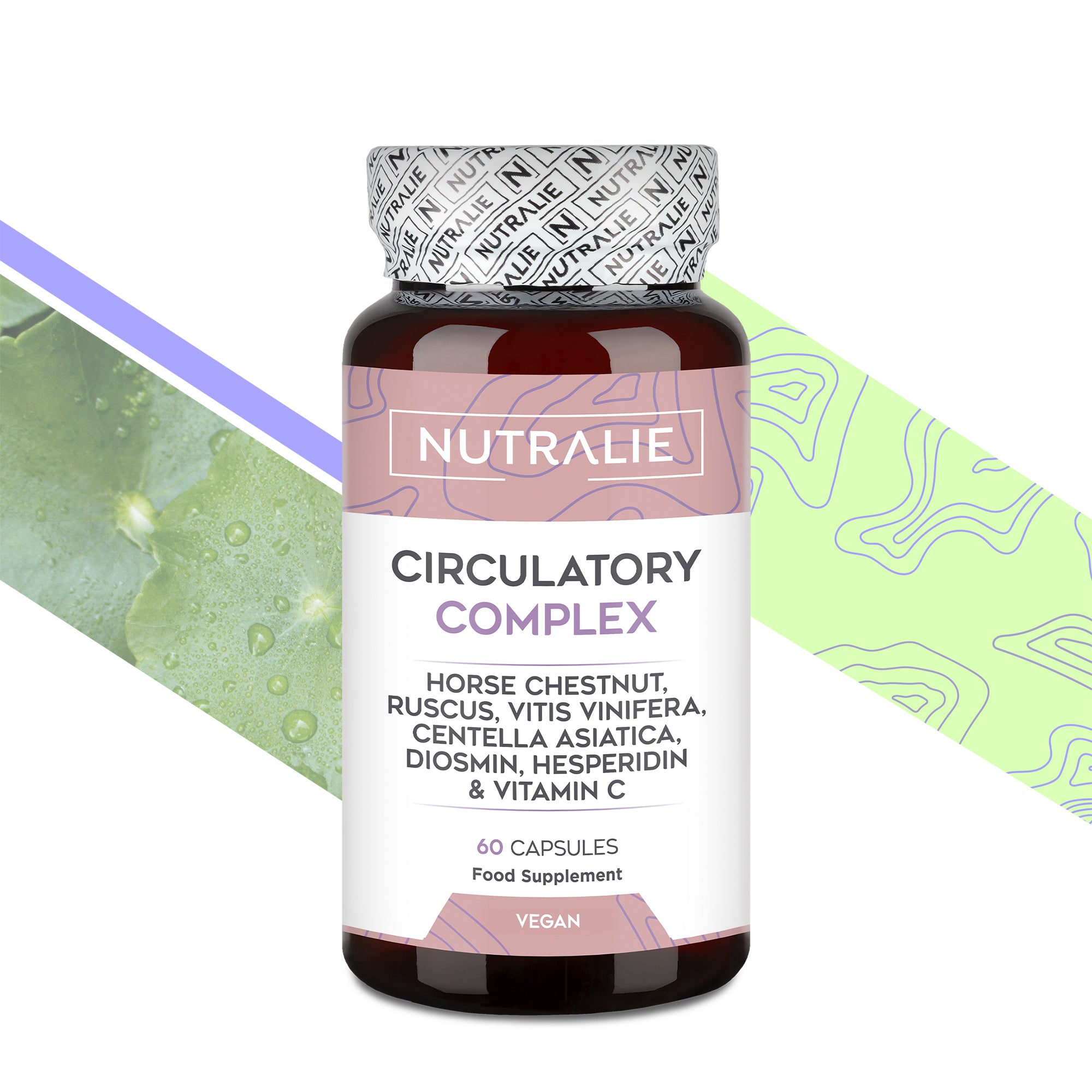 CIRCULATORY COMPLEX