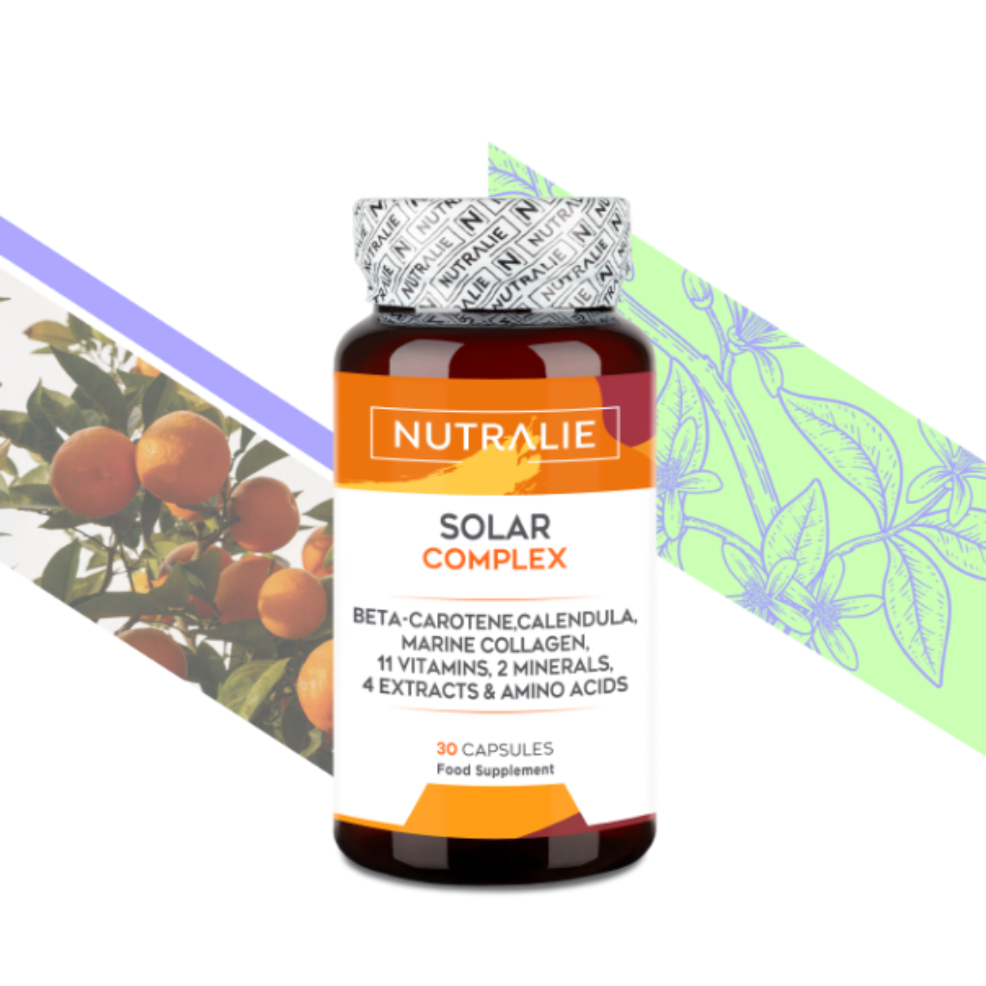 SOLAR COMPLEX